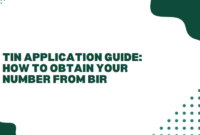 TIN Application Guide